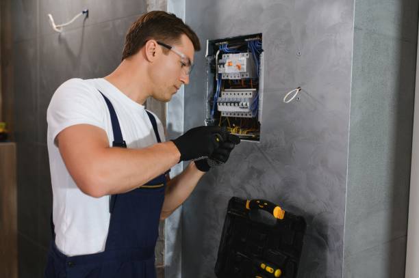 Best Electric Panel Repair  in Dunlap, IA